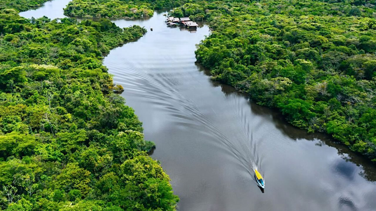 Vista aérea da Amazônia