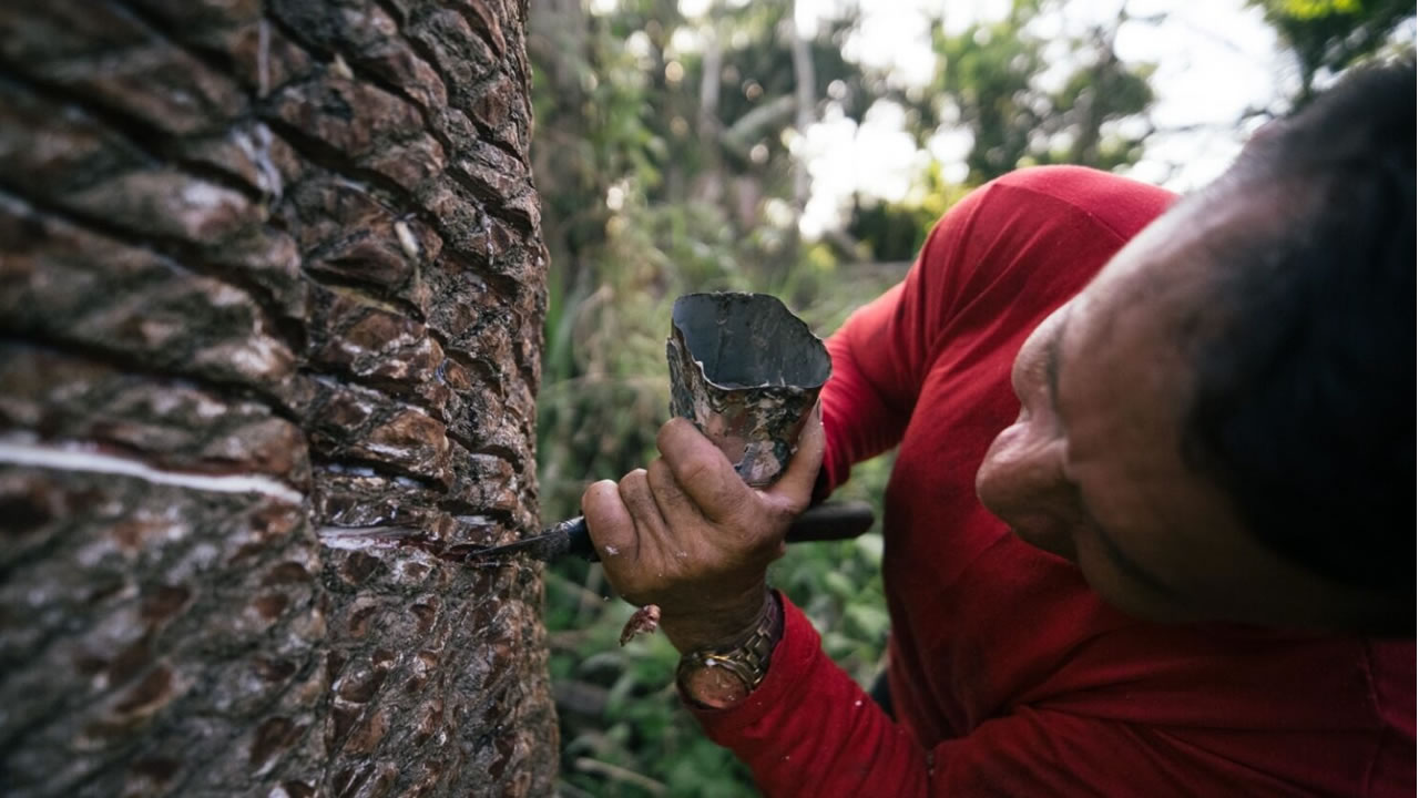 Comunidade indígena